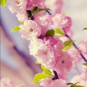 Meet your Posher, Dalila